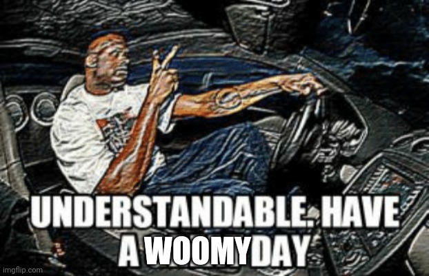 Understandable have a great day | WOOMY | image tagged in understandable have a great day | made w/ Imgflip meme maker