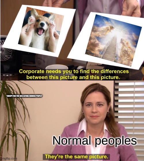 They're The Same Picture | *EXCEPT FOR THE DOG EATING CHINESE PEOPLE*; Normal peoples | image tagged in memes,they're the same picture | made w/ Imgflip meme maker