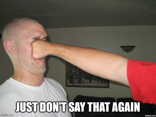 Face punch | JUST DON'T SAY THAT AGAIN | image tagged in face punch | made w/ Imgflip meme maker