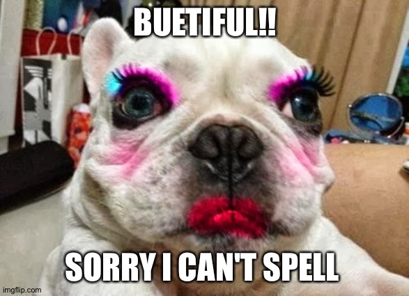 beutiful | BUETIFUL!! SORRY I CAN'T SPELL | image tagged in beutiful | made w/ Imgflip meme maker