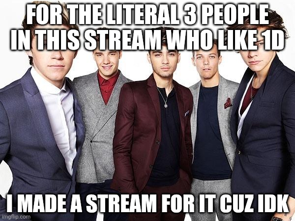 One direction | FOR THE LITERAL 3 PEOPLE IN THIS STREAM WHO LIKE 1D; I MADE A STREAM FOR IT CUZ IDK | image tagged in one direction | made w/ Imgflip meme maker