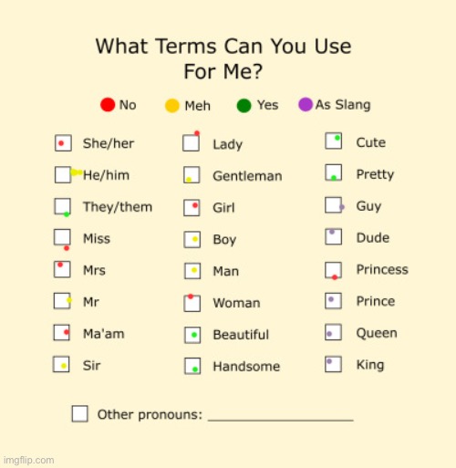 Fun fact: if there isn’t a well known gender nuteral version of a word (mr,mrs,ms,etc.) I prefer mr over mrs/ms or whatever | image tagged in pronouns sheet | made w/ Imgflip meme maker