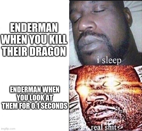 It's a cool feature, but why? | ENDERMAN WHEN YOU KILL THEIR DRAGON; ENDERMAN WHEN YOU LOOK AT THEM FOR 0.1 SECONDS | image tagged in i sleep | made w/ Imgflip meme maker