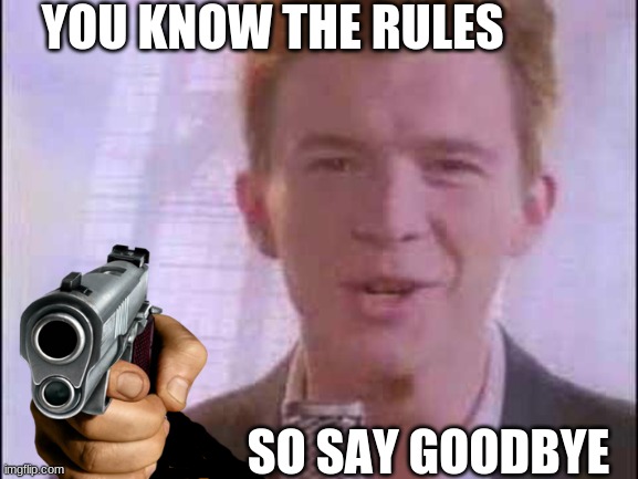 rick roll | YOU KNOW THE RULES; SO SAY GOODBYE | image tagged in rick roll | made w/ Imgflip meme maker