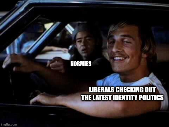 Damn libs that must be some goooooood grass you're puffin' | NORMIES; LIBERALS CHECKING OUT THE LATEST IDENTITY POLITICS | image tagged in dazed and confused | made w/ Imgflip meme maker
