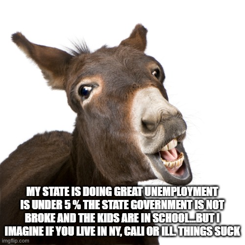 MY STATE IS DOING GREAT UNEMPLOYMENT IS UNDER 5 % THE STATE GOVERNMENT IS NOT BROKE AND THE KIDS ARE IN SCHOOL...BUT I IMAGINE IF YOU LIVE I | made w/ Imgflip meme maker