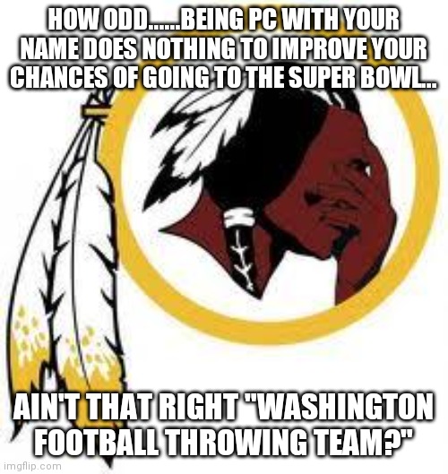 Poor skins | HOW ODD......BEING PC WITH YOUR NAME DOES NOTHING TO IMPROVE YOUR CHANCES OF GOING TO THE SUPER BOWL... AIN'T THAT RIGHT "WASHINGTON FOOTBALL THROWING TEAM?" | image tagged in omg redskins,liberal logic | made w/ Imgflip meme maker