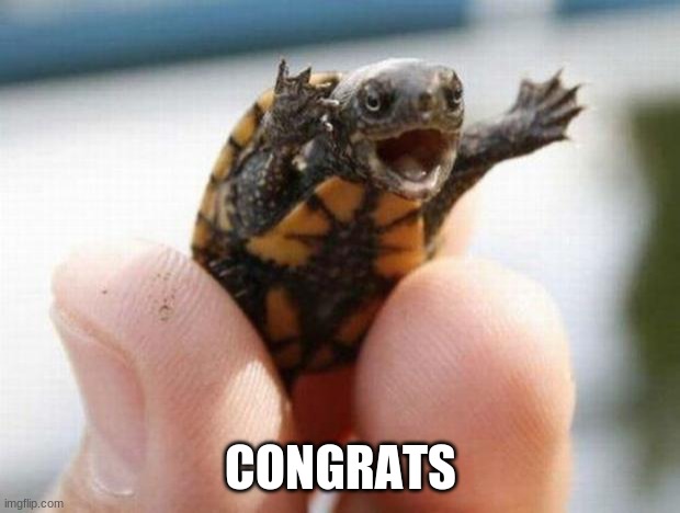 happy baby turtle | CONGRATS | image tagged in happy baby turtle | made w/ Imgflip meme maker