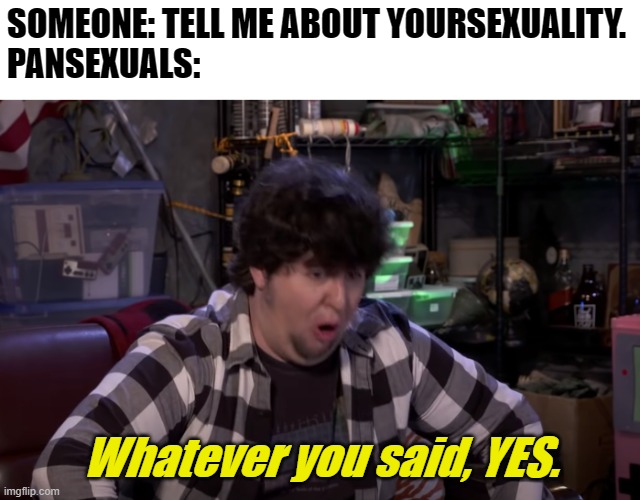 YES | SOMEONE: TELL ME ABOUT YOURSEXUALITY.
PANSEXUALS:; Whatever you said, YES. | image tagged in yes | made w/ Imgflip meme maker