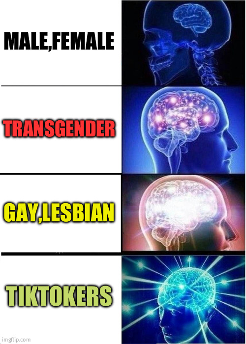 it's just a meme.sorry,please don't mind | MALE,FEMALE; TRANSGENDER; GAY,LESBIAN; TIKTOKERS | image tagged in memes,expanding brain | made w/ Imgflip meme maker