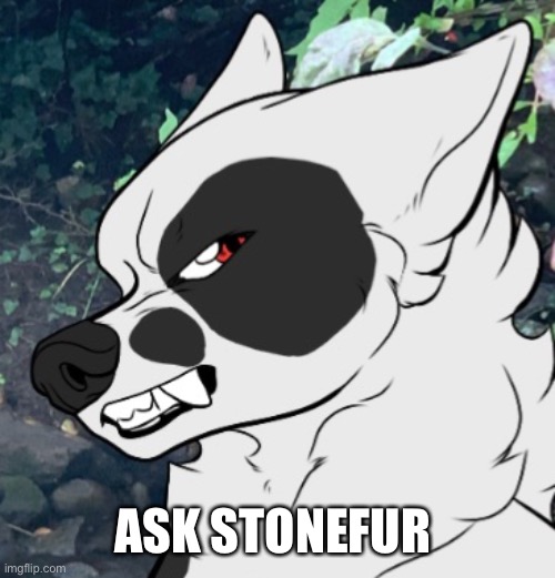 ASK STONEFUR | made w/ Imgflip meme maker