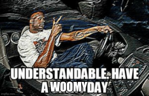 Understandable have a great day | WOOMY | image tagged in understandable have a great day | made w/ Imgflip meme maker