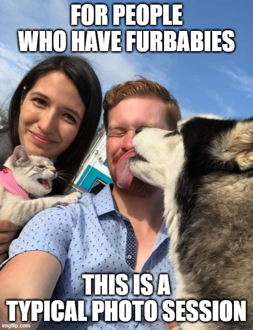 Furbabies Photos | FOR PEOPLE WHO HAVE FURBABIES; THIS IS A TYPICAL PHOTO SESSION | image tagged in furbabies,cat,dog,selfie | made w/ Imgflip meme maker