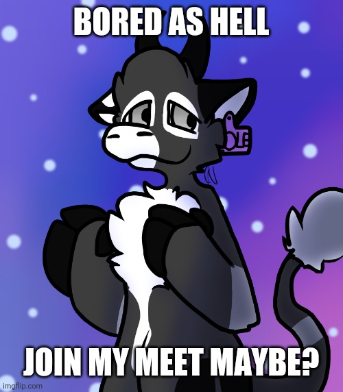 Link in. Comments | BORED AS HELL; JOIN MY MEET MAYBE? | made w/ Imgflip meme maker
