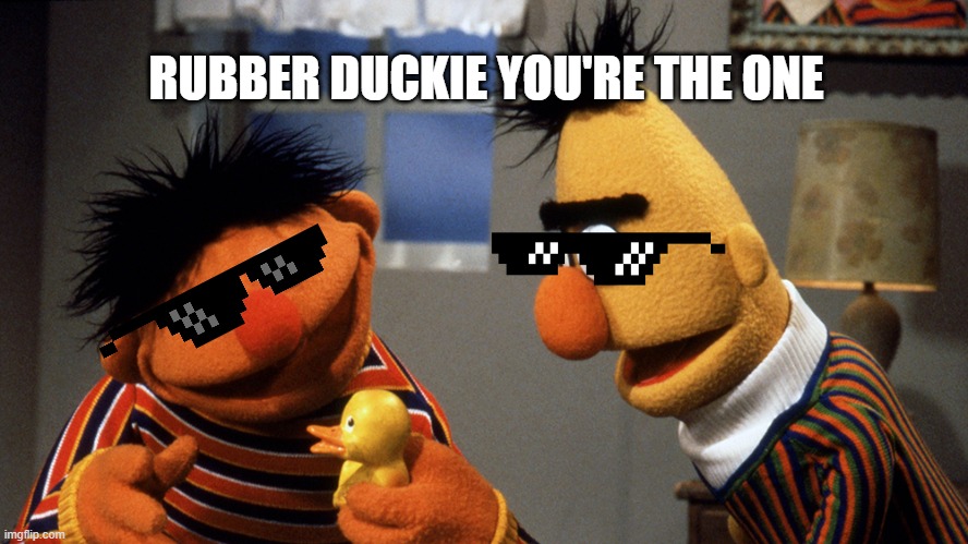 Rubber Duckie | RUBBER DUCKIE YOU'RE THE ONE | image tagged in ernie and bert discuss rubber duckie | made w/ Imgflip meme maker