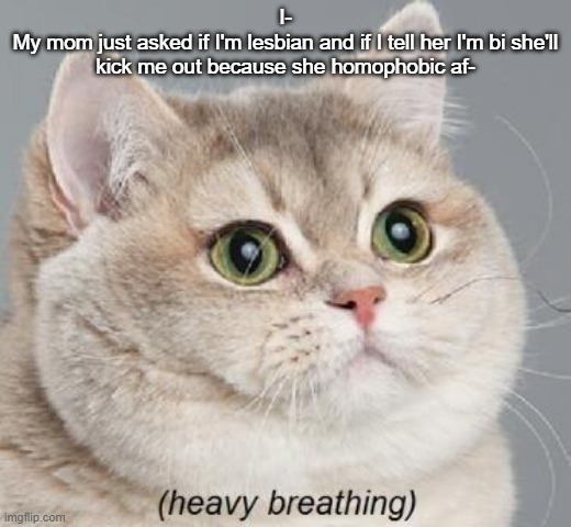 *anxiety attacc intensifies* | I-
My mom just asked if I'm lesbian and if I tell her I'm bi she'll kick me out because she homophobic af- | image tagged in memes,heavy breathing cat | made w/ Imgflip meme maker