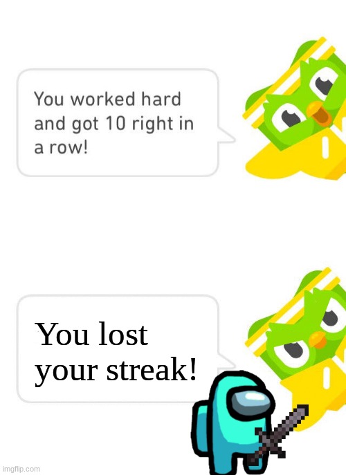 lost my streak | You lost your streak! | image tagged in duolingo 10 in a row | made w/ Imgflip meme maker