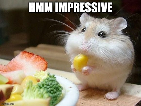 NOM NOM NOM | HMM IMPRESSIVE | image tagged in nom nom nom | made w/ Imgflip meme maker