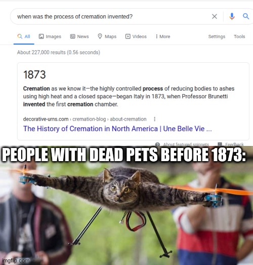 Oh really? | PEOPLE WITH DEAD PETS BEFORE 1873: | image tagged in memes,cat,dead cat,drone,funny | made w/ Imgflip meme maker