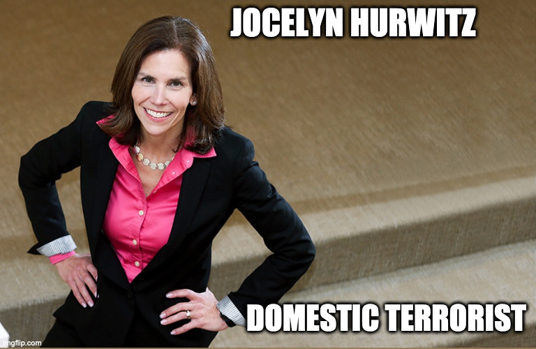 Jocelyn Hurwitz | JOCELYN HURWITZ; DOMESTIC TERRORIST | image tagged in jocelyn hurwitz | made w/ Imgflip meme maker