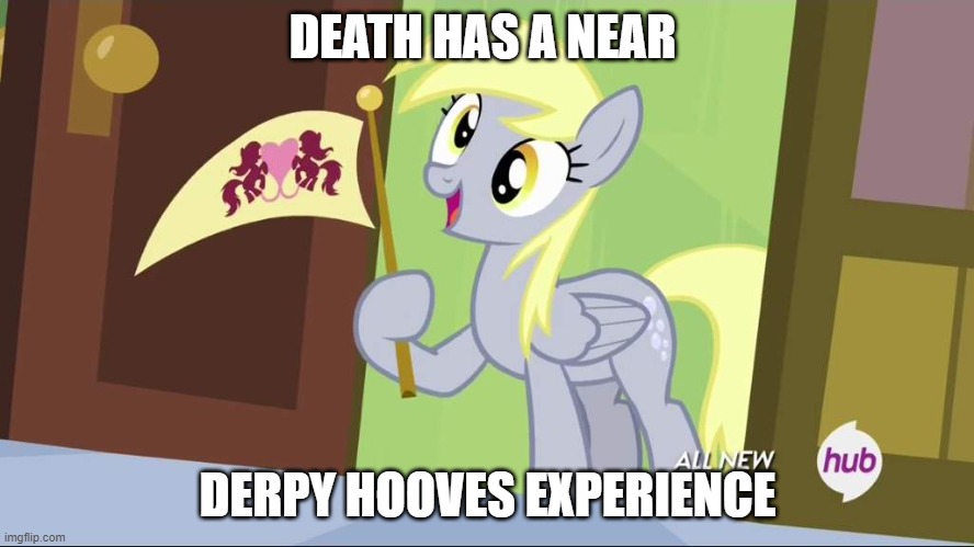 Derpy Hooves facts | DEATH HAS A NEAR; DERPY HOOVES EXPERIENCE | image tagged in derpy hooves facts | made w/ Imgflip meme maker