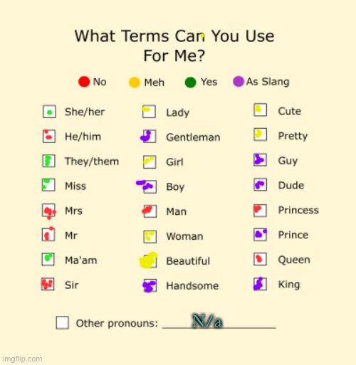 Y a y y | N/a | image tagged in pronouns sheet | made w/ Imgflip meme maker