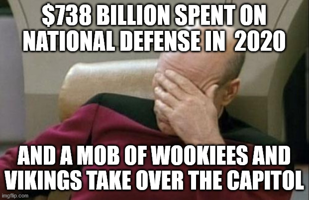 Capitol Protest | $738 BILLION SPENT ON NATIONAL DEFENSE IN  2020; AND A MOB OF WOOKIEES AND VIKINGS TAKE OVER THE CAPITOL | image tagged in memes,captain picard facepalm | made w/ Imgflip meme maker