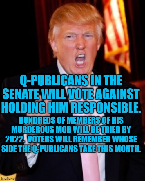 Potentate Of Q-Publicans! | Q-PUBLICANS IN THE SENATE WILL VOTE AGAINST HOLDING HIM RESPONSIBLE. HUNDREDS OF MEMBERS OF HIS MURDEROUS MOB WILL BE TRIED BY 2022.  VOTERS WILL REMEMBER WHOSE SIDE THE Q-PUBLICANS TAKE THIS MONTH. | image tagged in politics | made w/ Imgflip meme maker