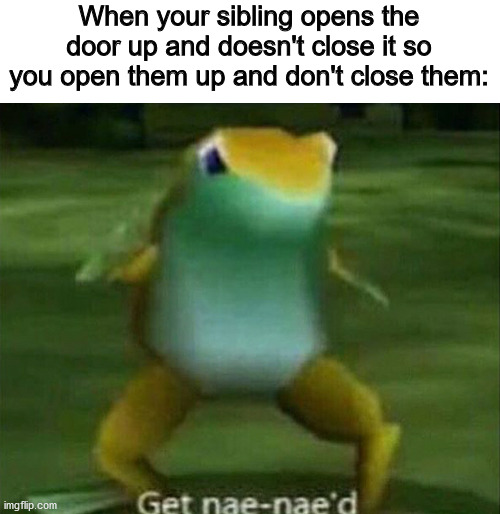 Get nae-nae'd | When your sibling opens the door up and doesn't close it so you open them up and don't close them: | image tagged in get nae-nae'd | made w/ Imgflip meme maker