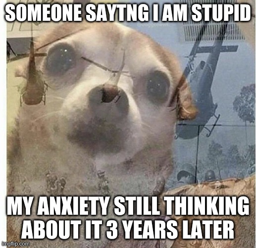 PTSD Chihuahua | SOMEONE SAYTNG I AM STUPID; MY ANXIETY STILL THINKING ABOUT IT 3 YEARS LATER | image tagged in ptsd chihuahua | made w/ Imgflip meme maker