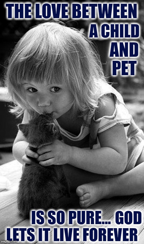 A Child's Love of a Pet or Happily Ever After | THE LOVE BETWEEN; A CHILD; AND
PET; GOD
LETS IT LIVE FOREVER; IS SO PURE... | image tagged in vince vance,cats,babies,kitty,baby girl,memes | made w/ Imgflip meme maker