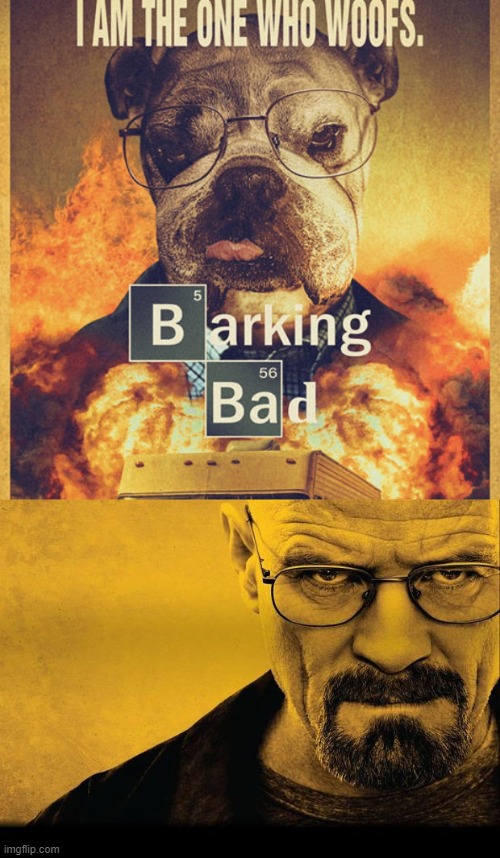 [top 1/2: shameless repost] | image tagged in barking bad,breaking bad,tv show,tv shows,television,repost | made w/ Imgflip meme maker
