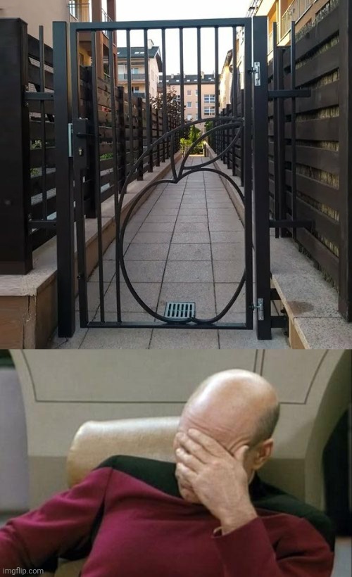 I feel insecure... | image tagged in memes,captain picard facepalm,funny,security,task failed successfully,you had one job just the one | made w/ Imgflip meme maker