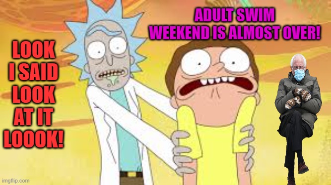 Adult Swim weekend, a dannyhogan200 event! | ADULT SWIM WEEKEND IS ALMOST OVER! LOOK I SAID LOOK AT IT LOOOK! | made w/ Imgflip meme maker