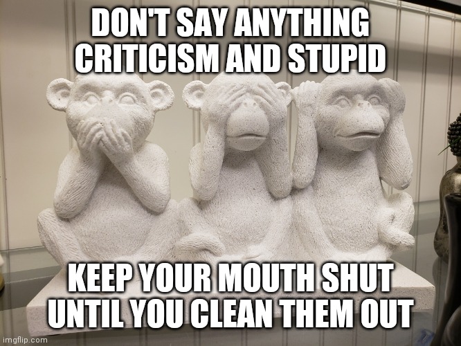 Monkeys | DON'T SAY ANYTHING CRITICISM AND STUPID; KEEP YOUR MOUTH SHUT UNTIL YOU CLEAN THEM OUT | image tagged in monkeys | made w/ Imgflip meme maker