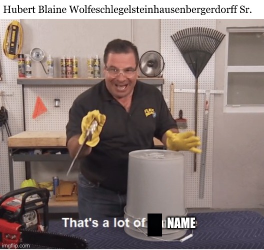this is a real name... | NAME | image tagged in thats a lot of damage | made w/ Imgflip meme maker