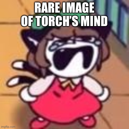 Cry about it | RARE IMAGE OF TORCH’S MIND | image tagged in cry about it | made w/ Imgflip meme maker
