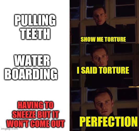 Its torture | PULLING TEETH; SHOW ME TORTURE; WATER BOARDING; I SAID TORTURE; PERFECTION; HAVING TO SNEEZE BUT IT WON'T COME OUT | image tagged in perfection,sneezing,oh no | made w/ Imgflip meme maker