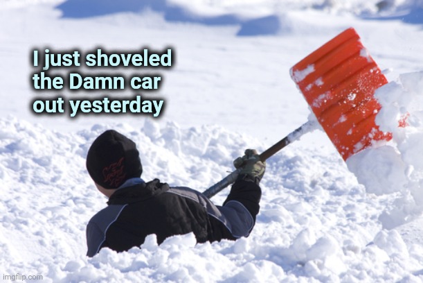 Blizzard | I just shoveled
   the Damn car
   out yesterday | image tagged in blizzard | made w/ Imgflip meme maker