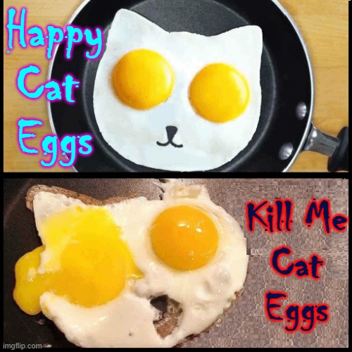 Know the Difference! | Happy Cat 
Eggs; Kill Me
Cat
Eggs | image tagged in vince vance,memes,sunny side up,eggs,fried eggs,cats | made w/ Imgflip meme maker
