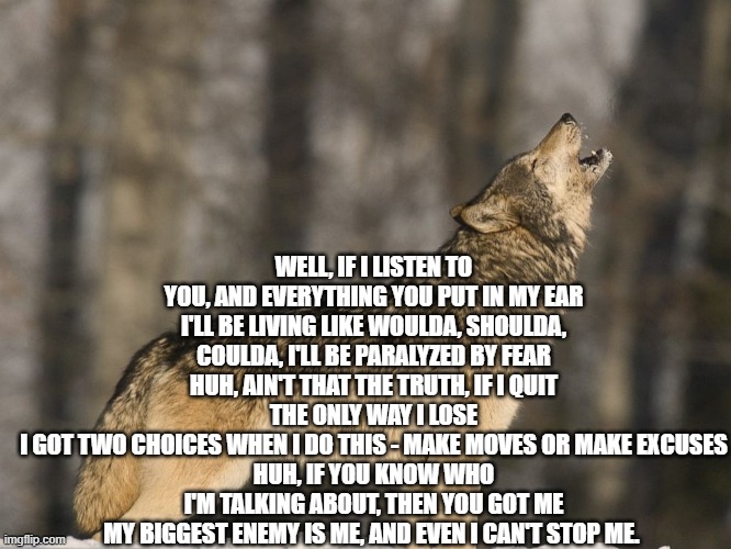 You cant stop me-Andy Mineo. Dont listen to the haters | WELL, IF I LISTEN TO YOU, AND EVERYTHING YOU PUT IN MY EAR
I'LL BE LIVING LIKE WOULDA, SHOULDA, COULDA, I'LL BE PARALYZED BY FEAR
HUH, AIN'T THAT THE TRUTH, IF I QUIT THE ONLY WAY I LOSE
I GOT TWO CHOICES WHEN I DO THIS - MAKE MOVES OR MAKE EXCUSES
HUH, IF YOU KNOW WHO I'M TALKING ABOUT, THEN YOU GOT ME
MY BIGGEST ENEMY IS ME, AND EVEN I CAN'T STOP ME. | image tagged in t21 howling | made w/ Imgflip meme maker