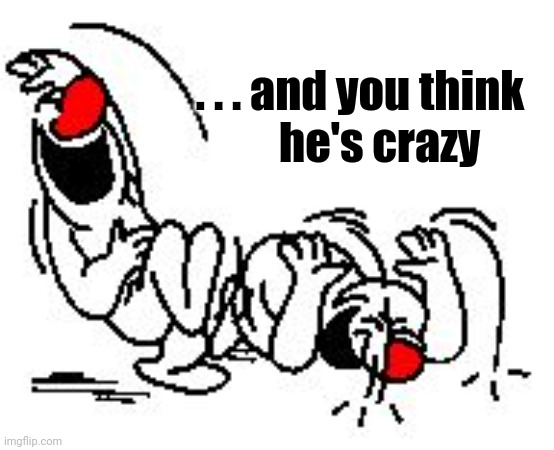 LOL Hysterically | . . . and you think 
he's crazy | image tagged in lol hysterically | made w/ Imgflip meme maker