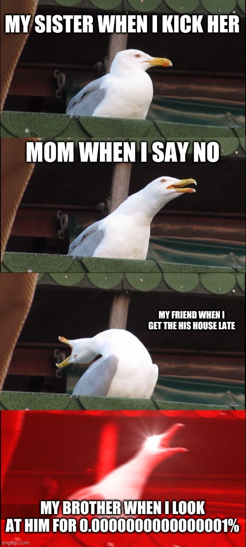 relate | MY SISTER WHEN I KICK HER; MOM WHEN I SAY NO; MY FRIEND WHEN I GET THE HIS HOUSE LATE; MY BROTHER WHEN I LOOK AT HIM FOR 0.0000000000000001% | image tagged in memes,inhaling seagull | made w/ Imgflip meme maker