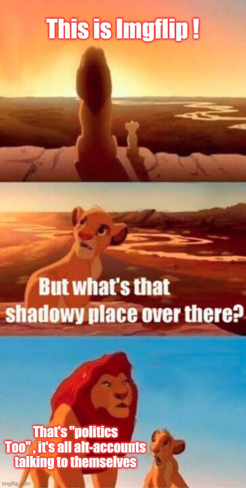It's irrelevant | This is Imgflip ! That's "politics Too" , it's all alt-accounts talking to themselves | image tagged in memes,simba shadowy place,nonsense,important,well yes but actually no | made w/ Imgflip meme maker