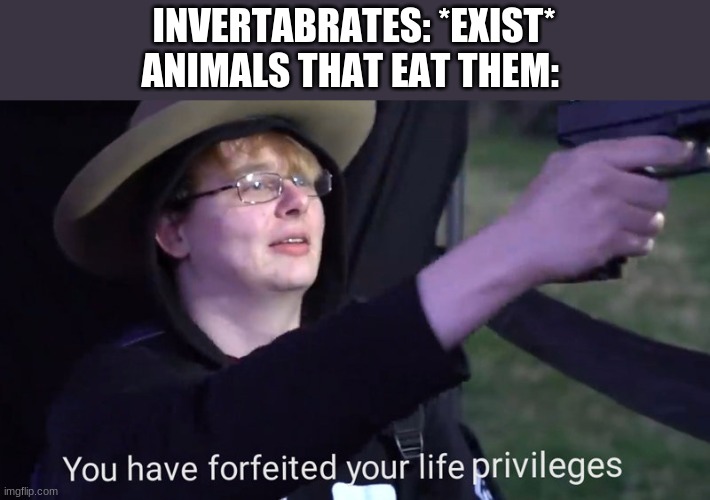 You have forfeited your life privileges | INVERTABRATES: *EXIST*
ANIMALS THAT EAT THEM: | image tagged in you have forfeited your life privileges | made w/ Imgflip meme maker