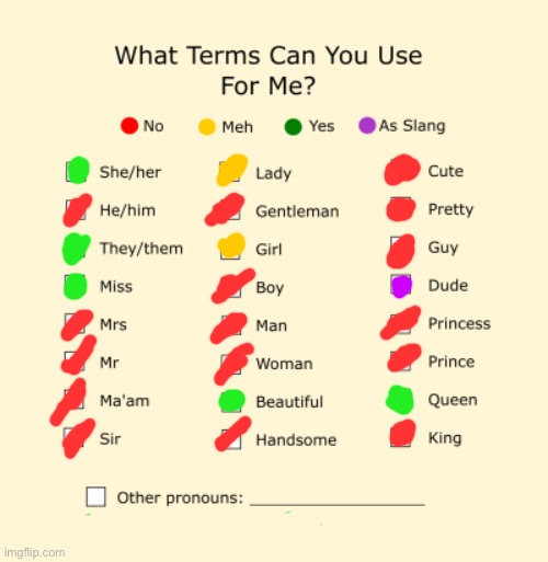 I am picky as heck about my pronouns TwT | image tagged in pronouns sheet | made w/ Imgflip meme maker