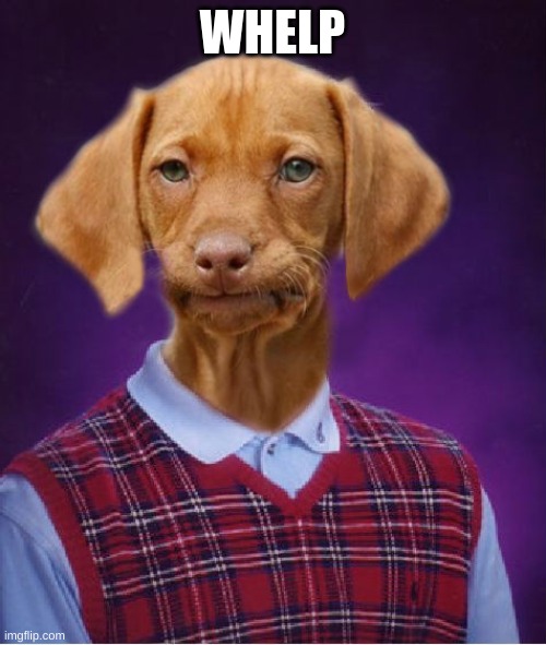 Bad Luck Raydog | WHELP | image tagged in bad luck raydog | made w/ Imgflip meme maker