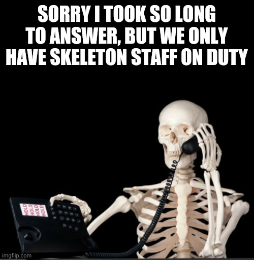 SORRY I TOOK SO LONG TO ANSWER, BUT WE ONLY HAVE SKELETON STAFF ON DUTY | image tagged in boney on the phone | made w/ Imgflip meme maker