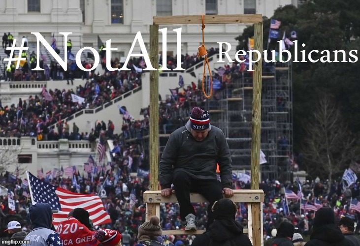 Important to remember #NotAllRepublicans wish death upon Democrats and other duly elected members of Congress. | #NotAll; Republicans | image tagged in capitol hill riot gallows | made w/ Imgflip meme maker