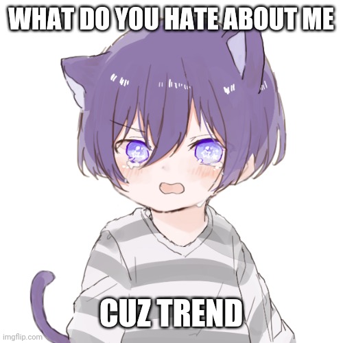 Upset Kasey | WHAT DO YOU HATE ABOUT ME; CUZ TREND | image tagged in upset kasey | made w/ Imgflip meme maker